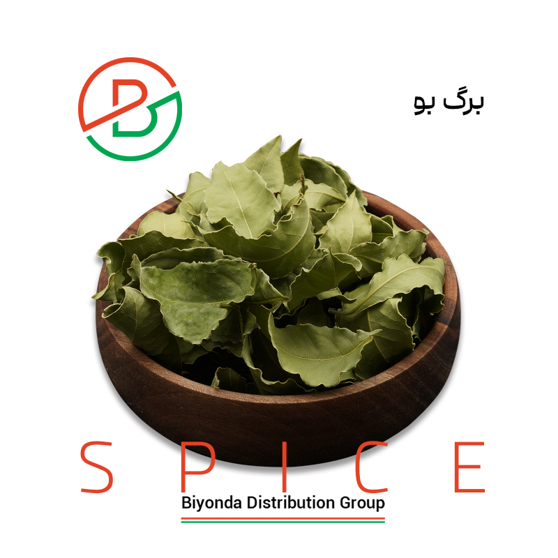 برگ بو